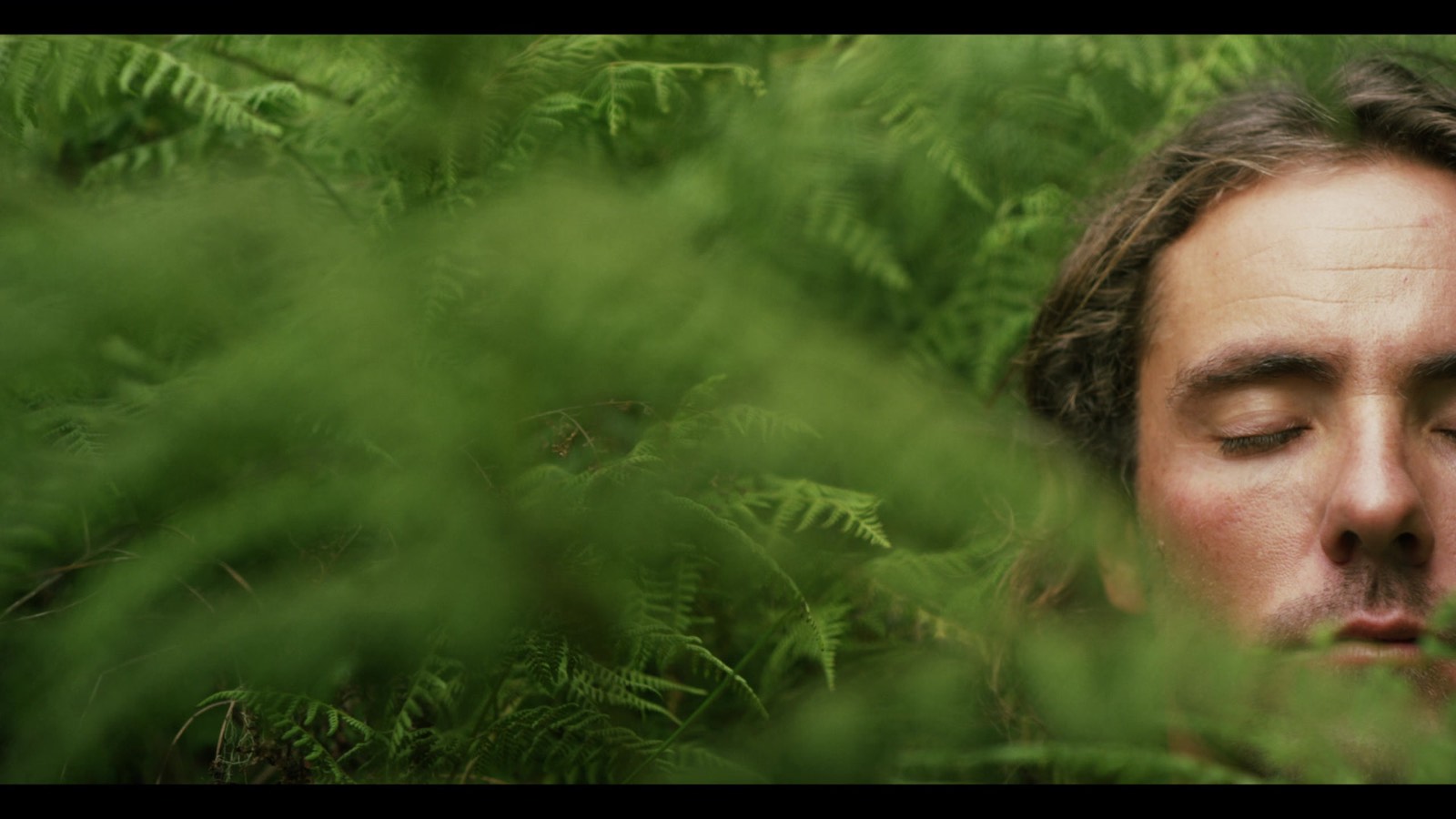 Still from a festival selection