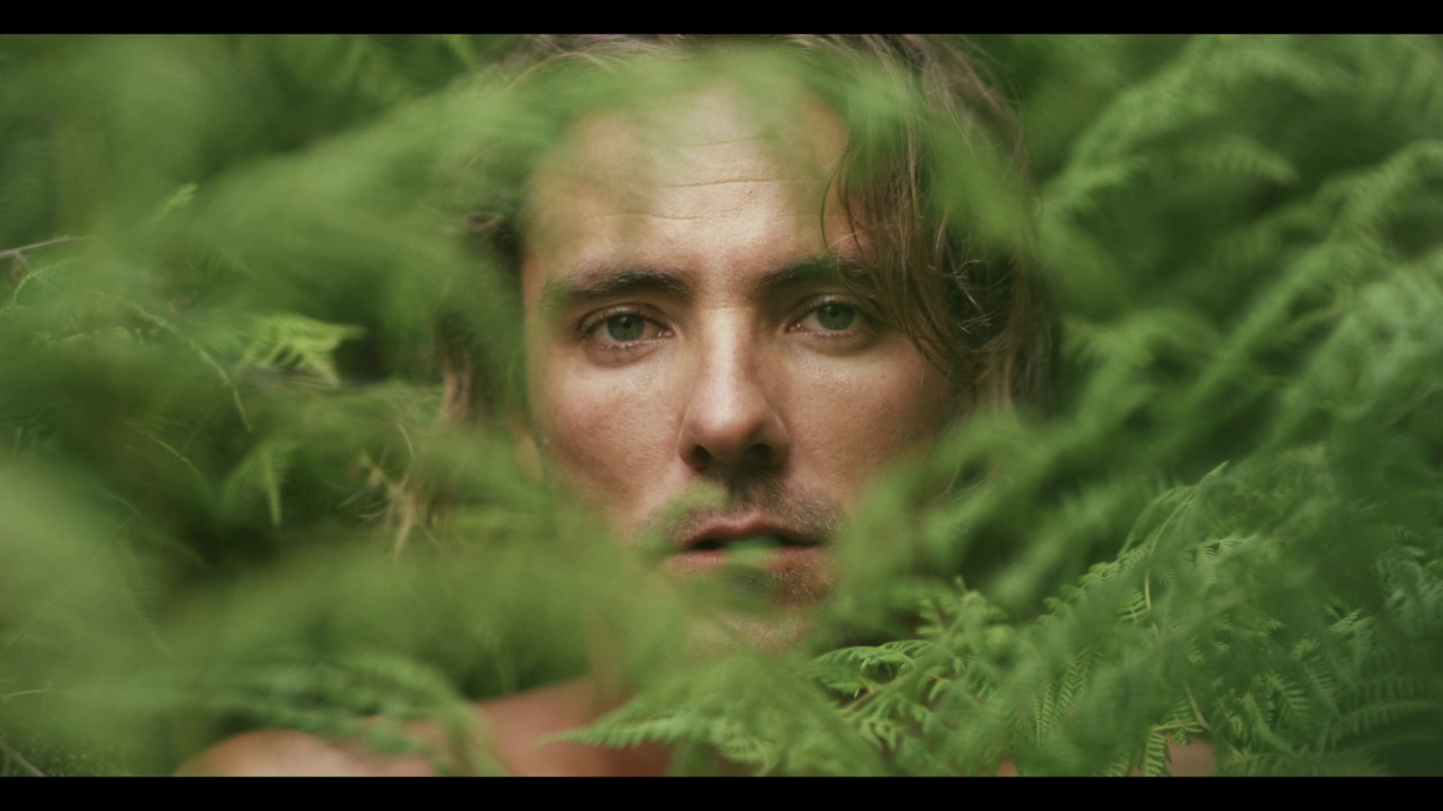 A face looking through ferns, a still from a festival selection