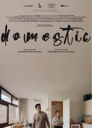 Poster for DOMESTIC