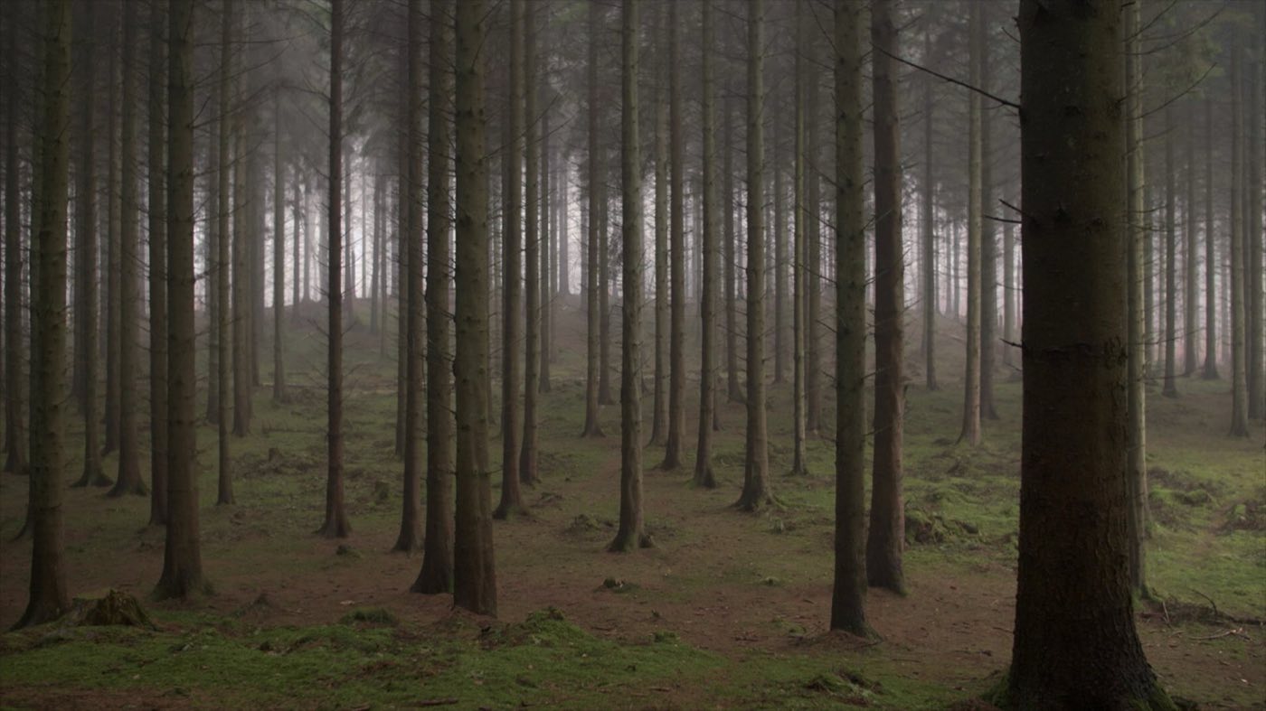 Still from a festival selection